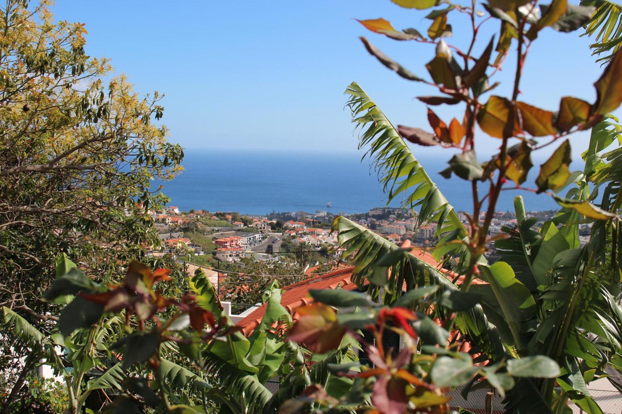 Alojamento Funchal - Silvestre House Eksteriør billede